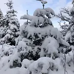 Pensjonat Alpina Krynica-Zdrój