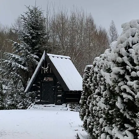 Alpina 3* Krynica Zdroj